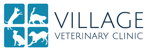 Village Veterinary Clinic